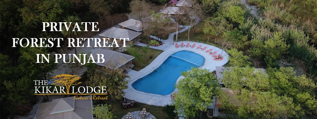 Unwind in the verdant embrace of The Kikar Lodge – Private Forest Retreat in Punjab
